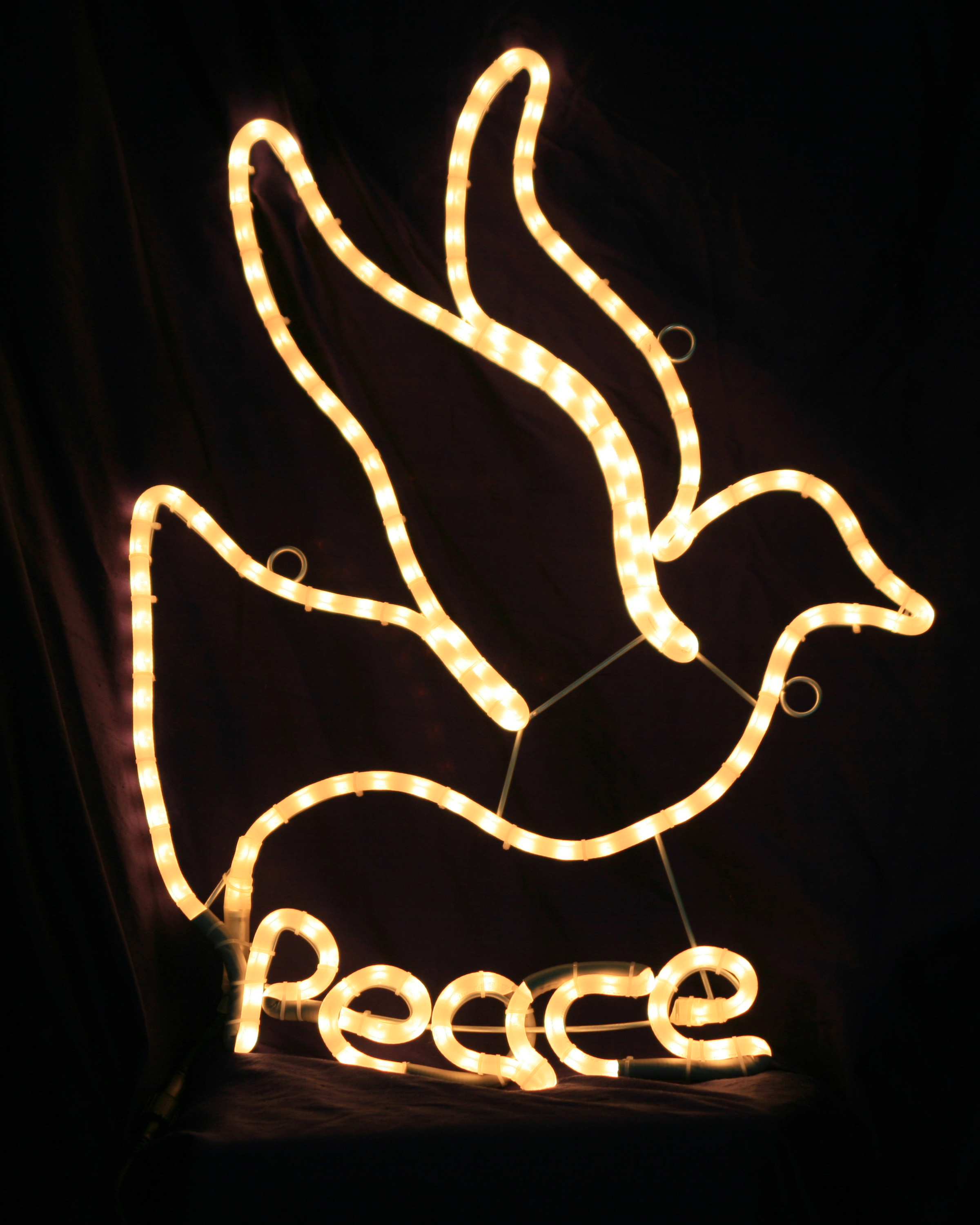 dove-peace