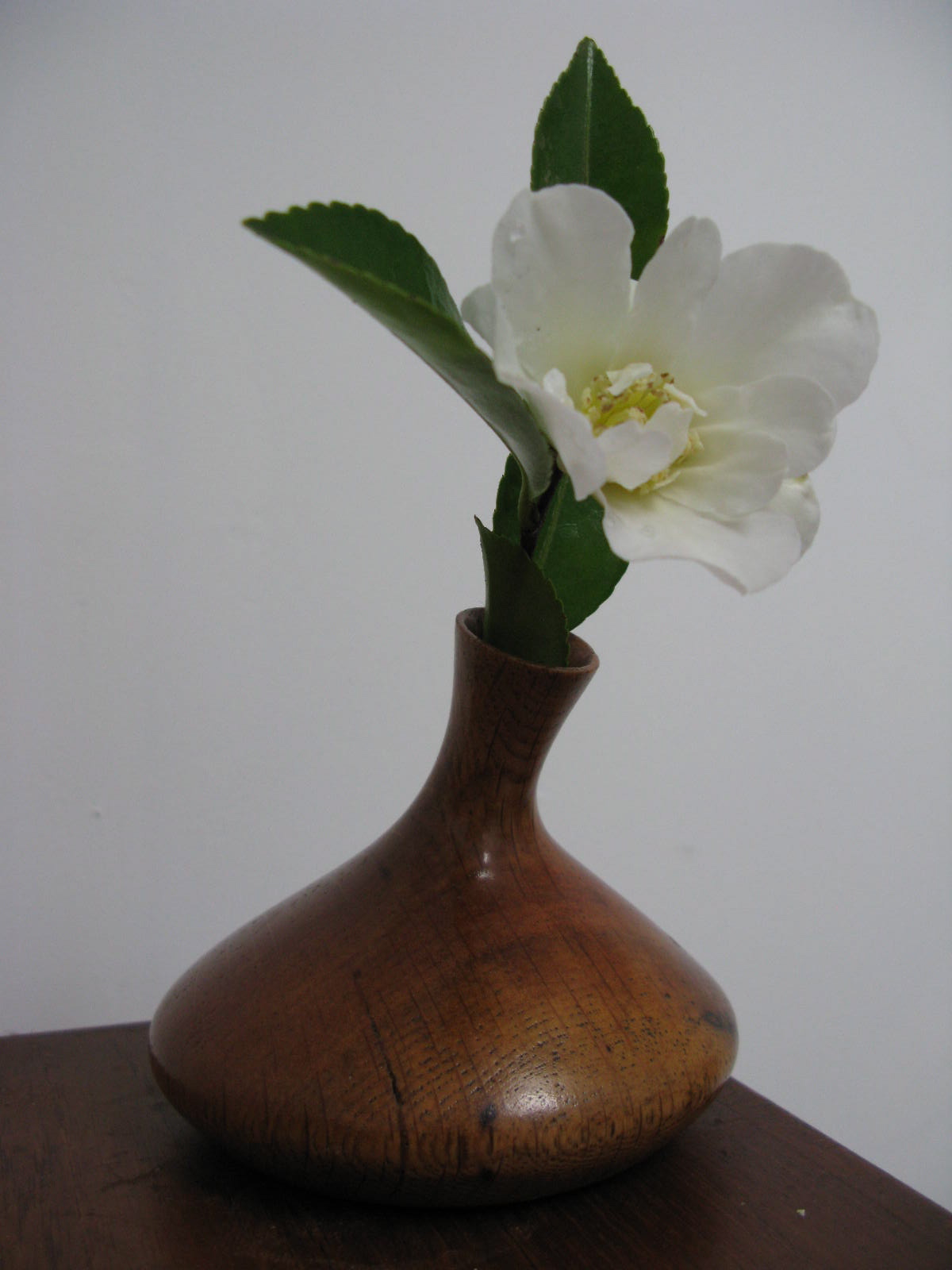 flower + vase