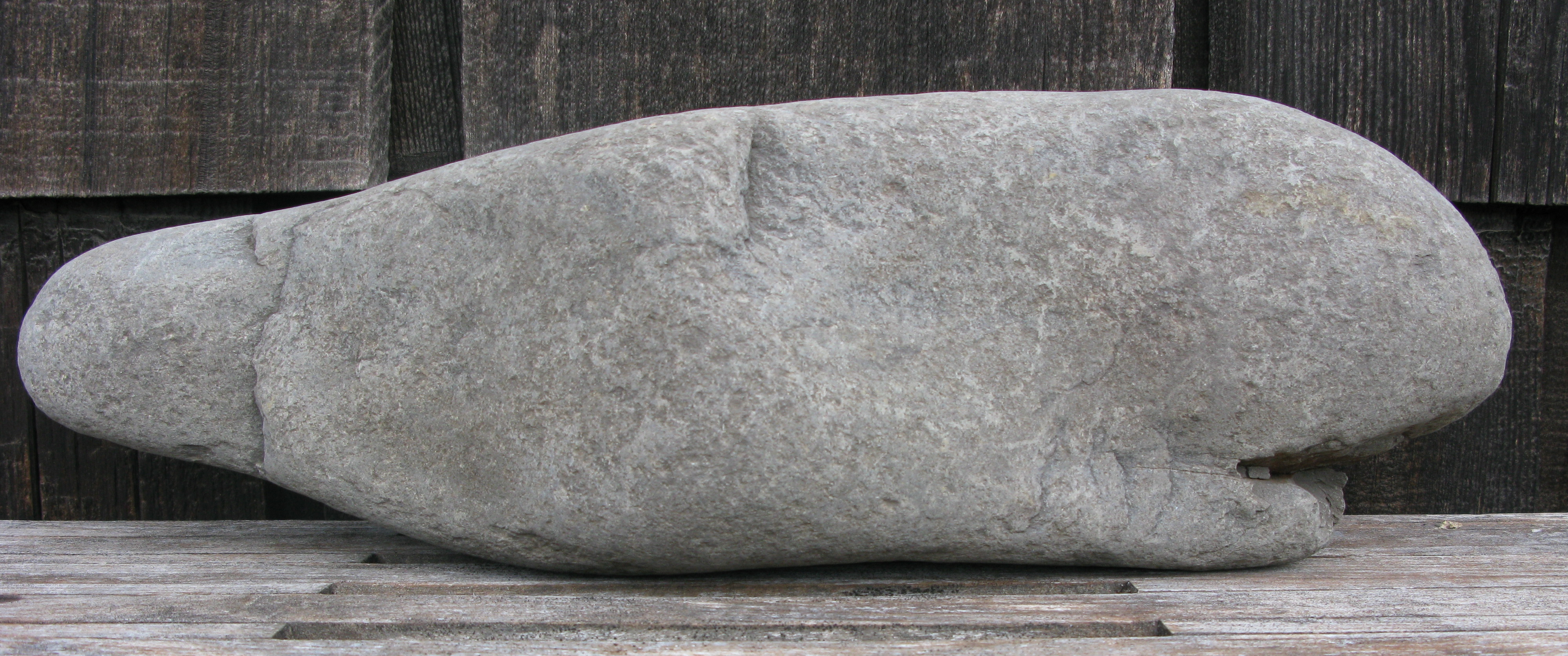 whale rock