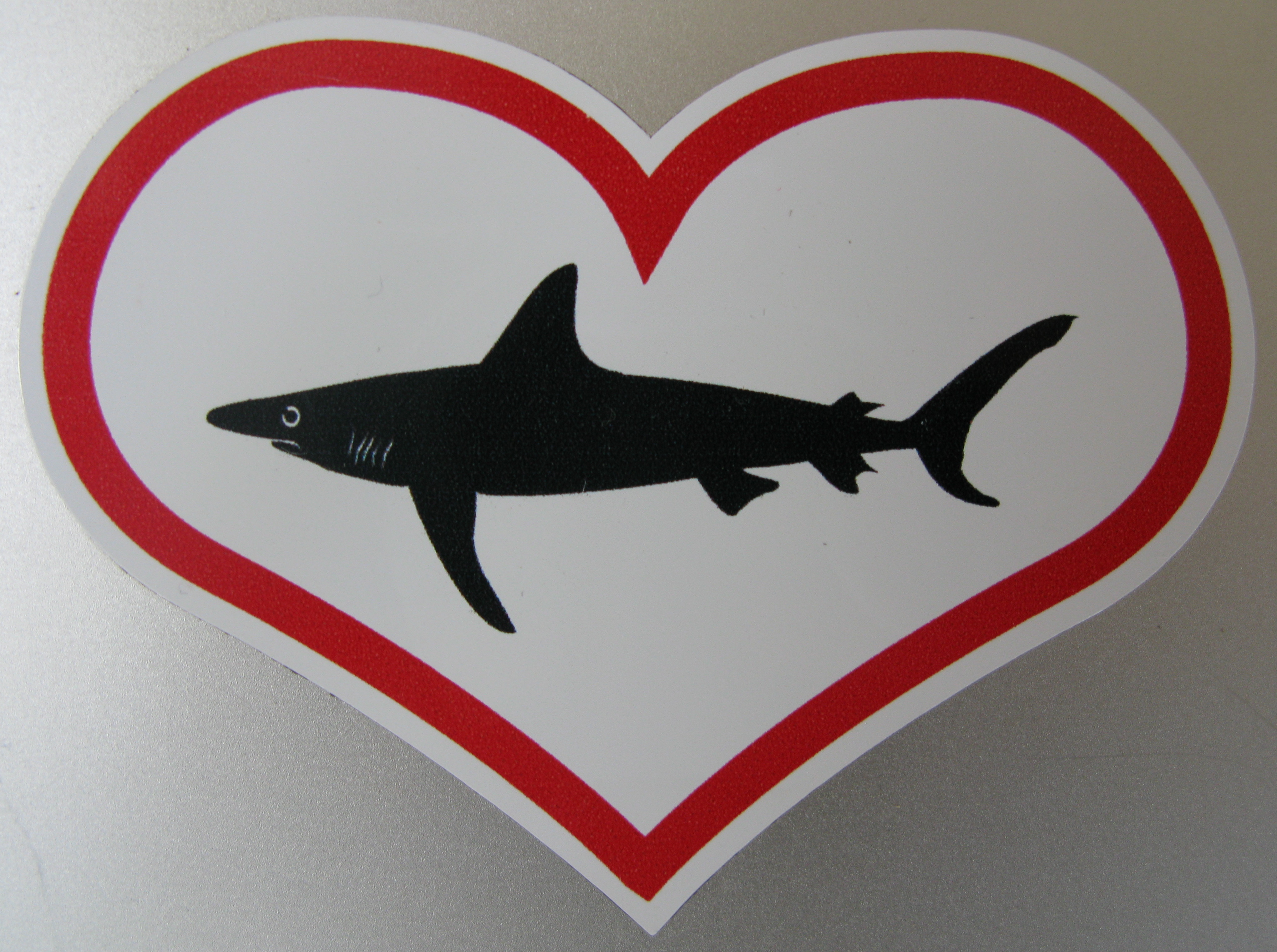Sharky Love