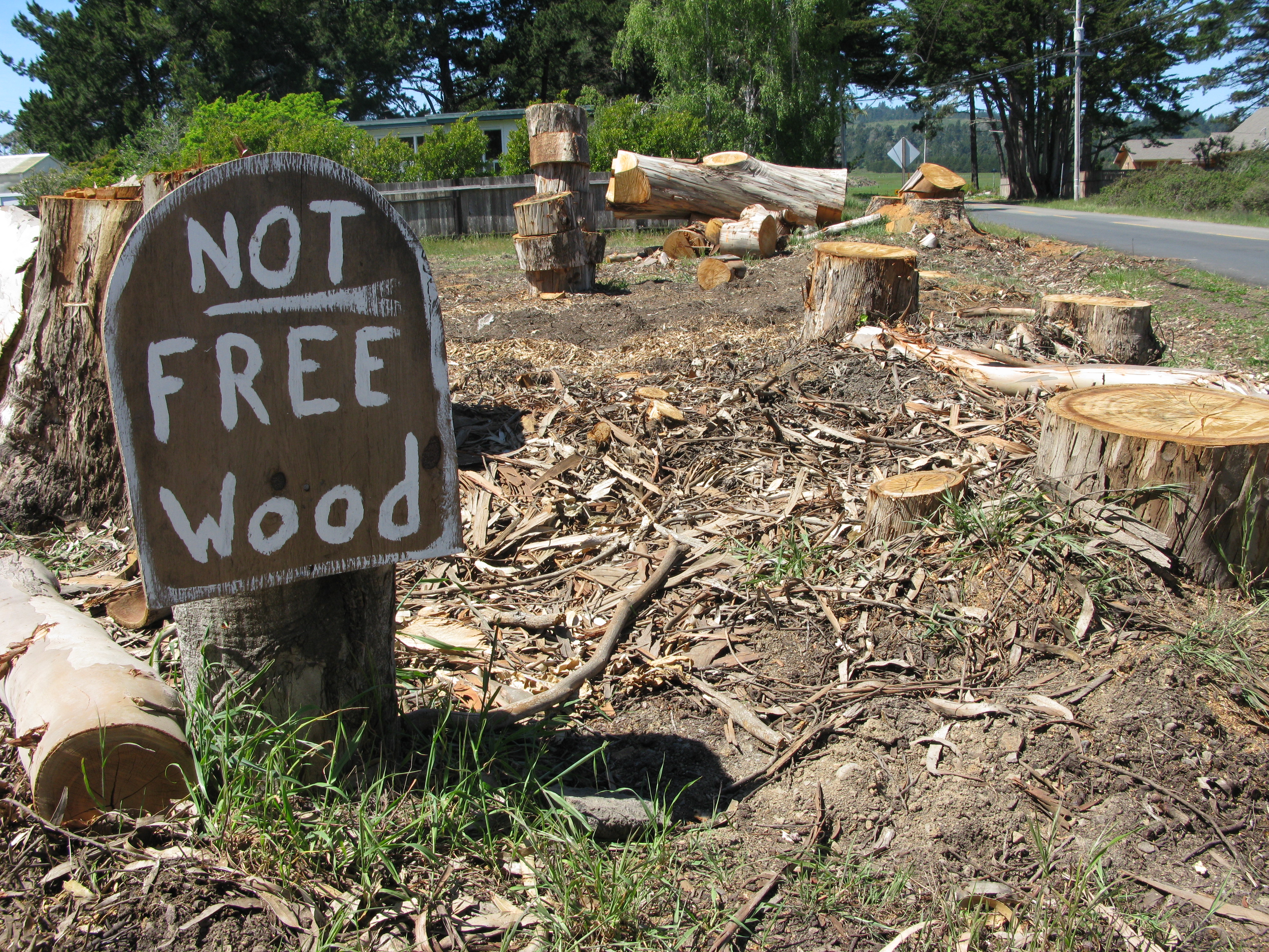Not Free Wood
